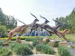 -武清南湖绿博园