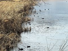-野鸭湖国家湿地公园