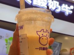 -一只酸奶牛(时代天街A馆店)