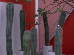 -柴油机1959创意园(IF1959文创园)