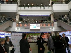 -上海市东方医院(总院)