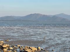 -深圳湾公园(南山区)
