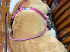 -鹿福农庄(南沙天后宫店)