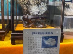 -志强陨石馆(双季花艺店)