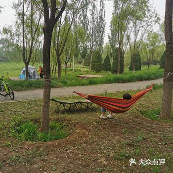 夏日游园会～海淀森林氧吧