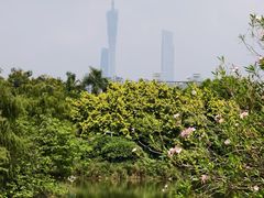 -海珠湖公园
