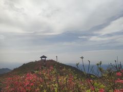 -大围山国家森林公园