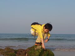 -临高角
