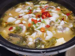 -越城记黑鱼煲(万达店)