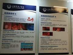 -上海市东方医院(总院)