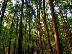-同里国家湿地公园