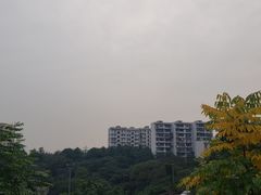 -乔森驾校(杨家坪总校)