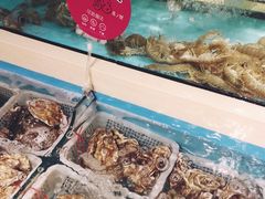 -日进一片海.生腌海鲜火锅.宵夜烧烤(三里屯总店)