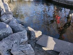 -济南大明湖景区