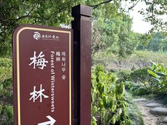 -白马涧龙池景区