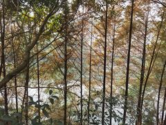 -海兰云天度假区温泉