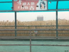 -长兴对江渡客运站