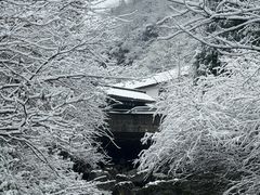 -安吉龙王山风景区