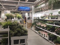 -宜家·瑞典风味餐厅(烟台路店)