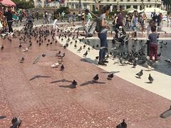 -加泰罗尼亚广场