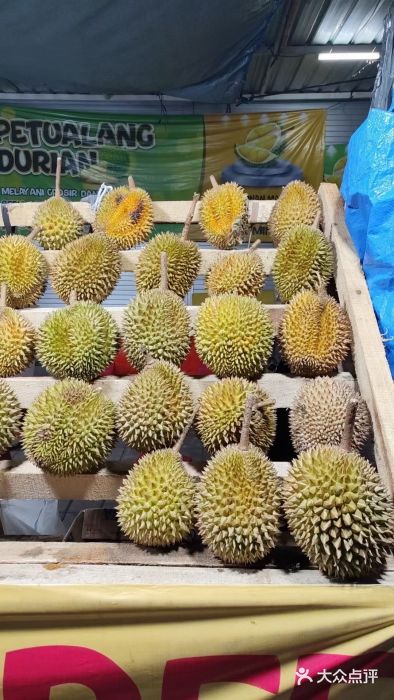 Durian Shop图片