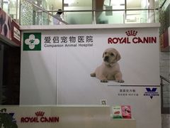 -爱侣宠医·鹦鹉专科·小型哺乳类·异宠专科(灵石路店)