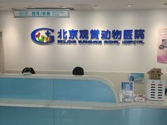 -北京观赏动物医院·24小时大型综合·猫专科·异宠专科
