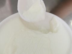 -义顺牛奶公司(板樟堂店)