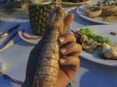 -越海渔村