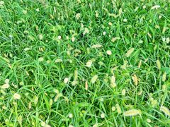 -南京金牛湖风景区