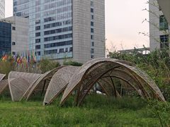 -原麦山丘(望京小街店)
