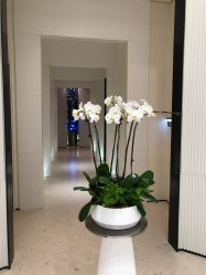 大堂-奥斯芬欧系贵族SPA