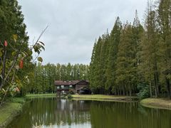 -黄海国家森林公园