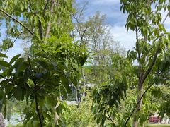 -茅草房·河畔园林火锅