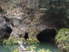 -灵栖洞天