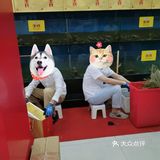只为那只蟹-王氏大闸蟹