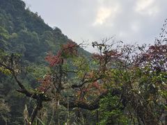 -赤水丹霞旅游区·大瀑布