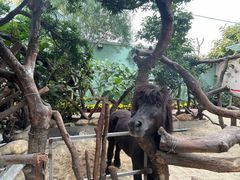 -正佳雨林生态植物园
