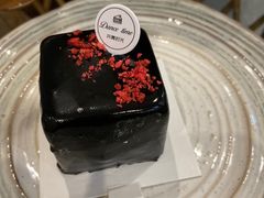 -共舞时光猫咖·狗咖(新街口店)