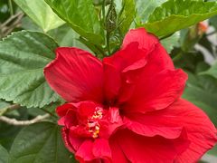 -泉乐坊步行街(烟酒特产平价超市店)