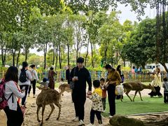 -广东花都香草世界旅游度假区