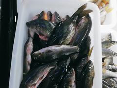 -畲乡一品鱼府土菜馆