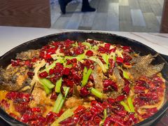 -老板恋上鱼(高新万达店)