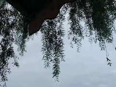 -小王府(什刹海店)