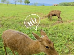 -良渚古城遗址公园