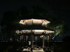 -渤公岛生态公园