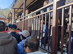 -苍山感通索道