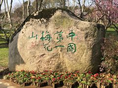 -梅花山(明孝陵内)