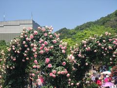 -牛岗山公园