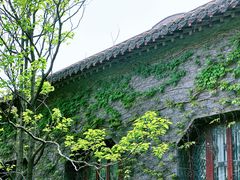 -梅园